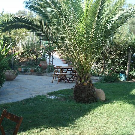 Villa Avra Dassia  Esterno foto