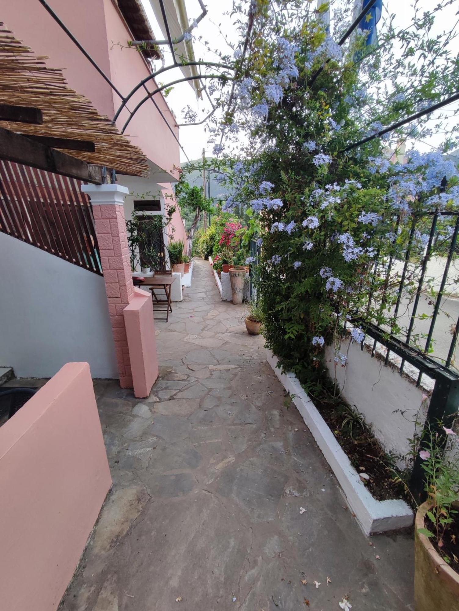 Villa Avra Dassia  Esterno foto