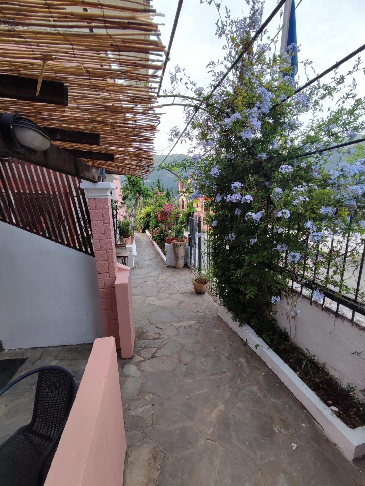 Villa Avra Dassia  Esterno foto