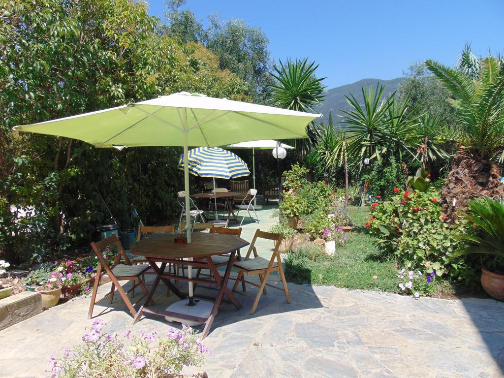 Villa Avra Dassia  Esterno foto